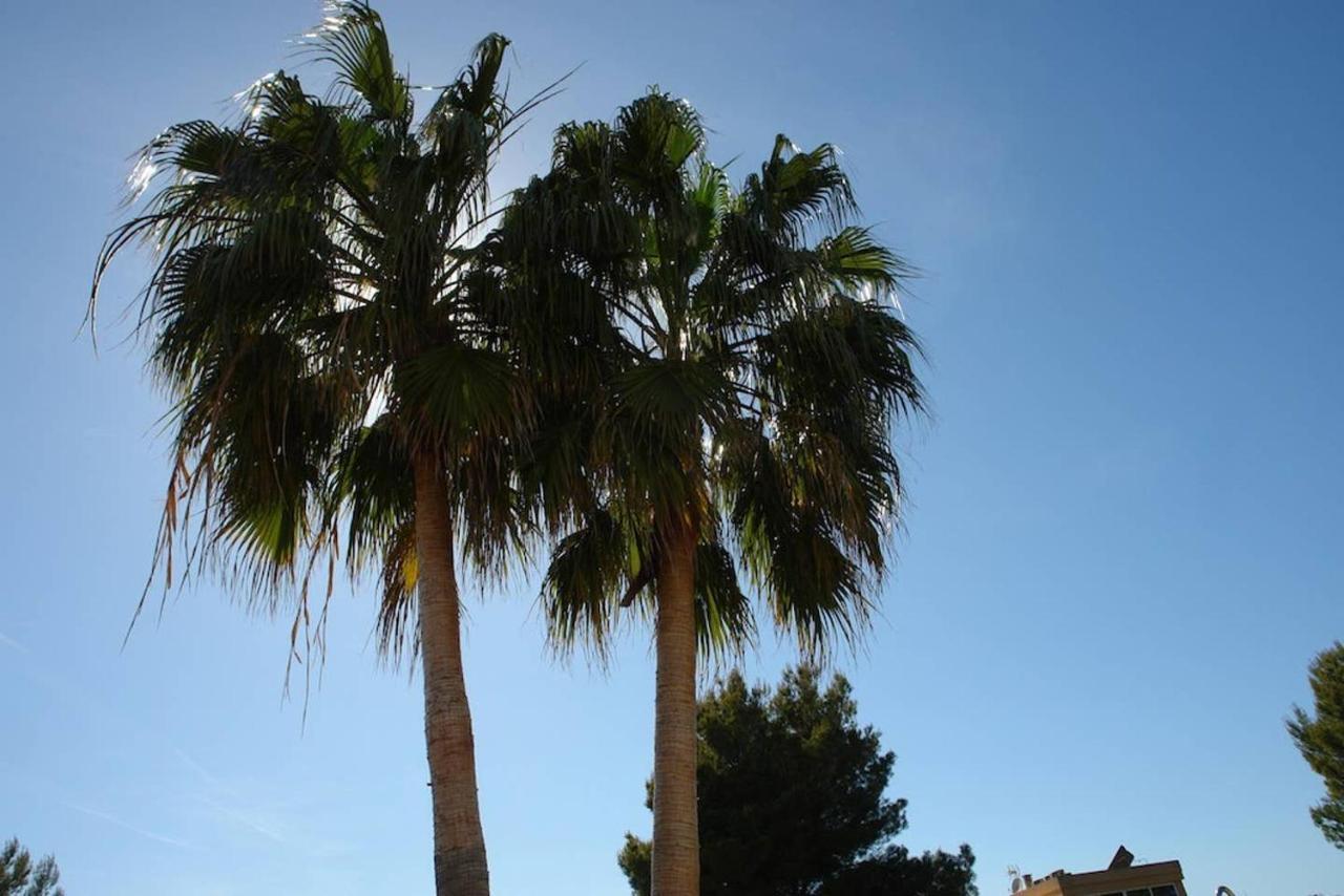 Havana Alcudia  Dış mekan fotoğraf